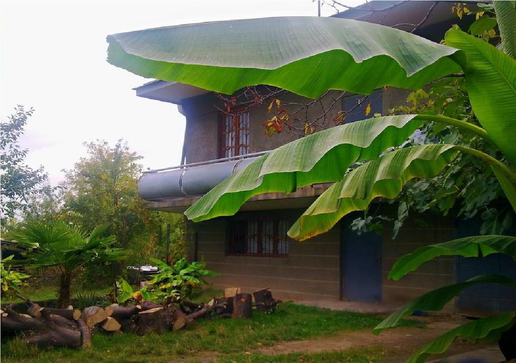 Farmer'S Guest House Telavi Exterior photo